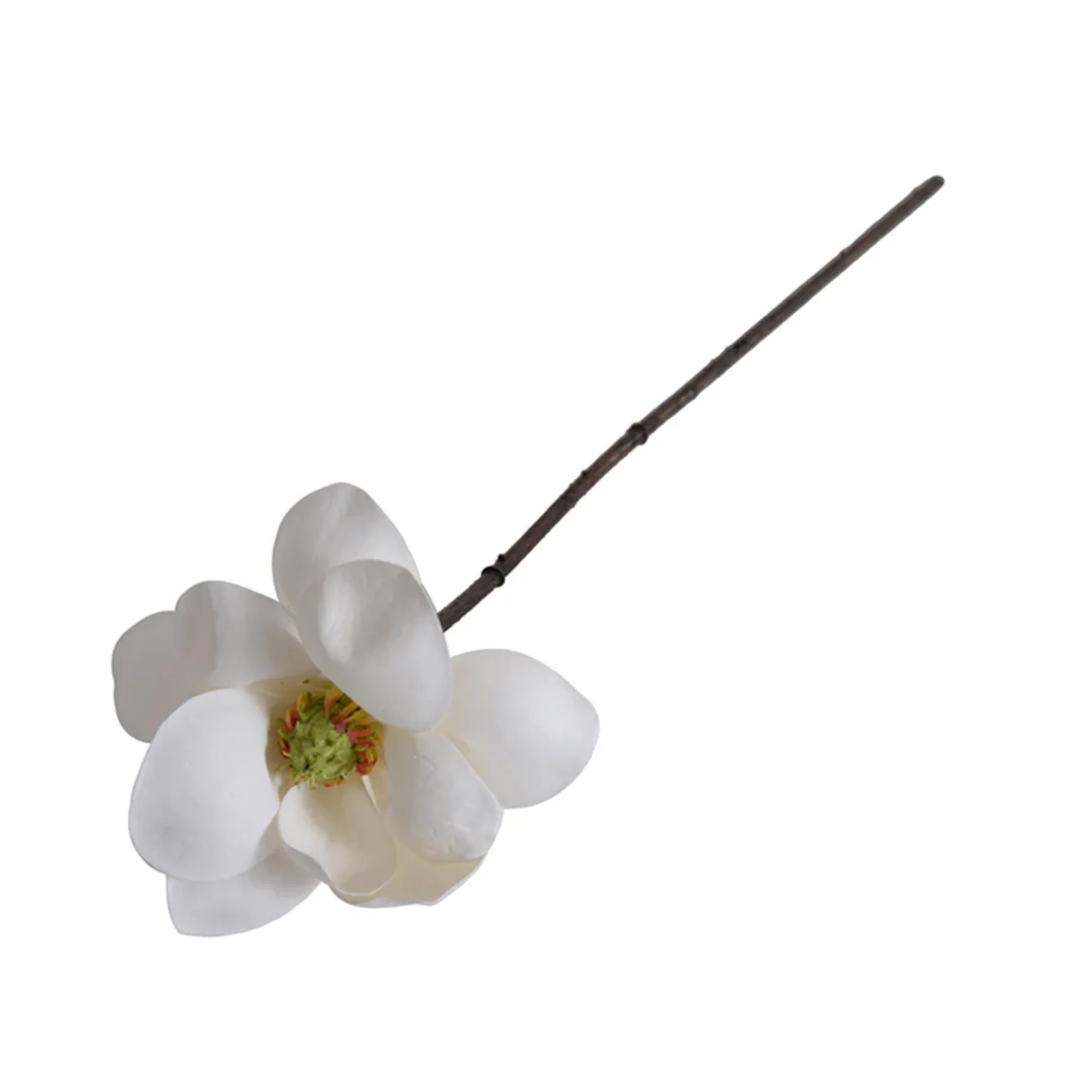 Magnolia Blossom stem - Image 1