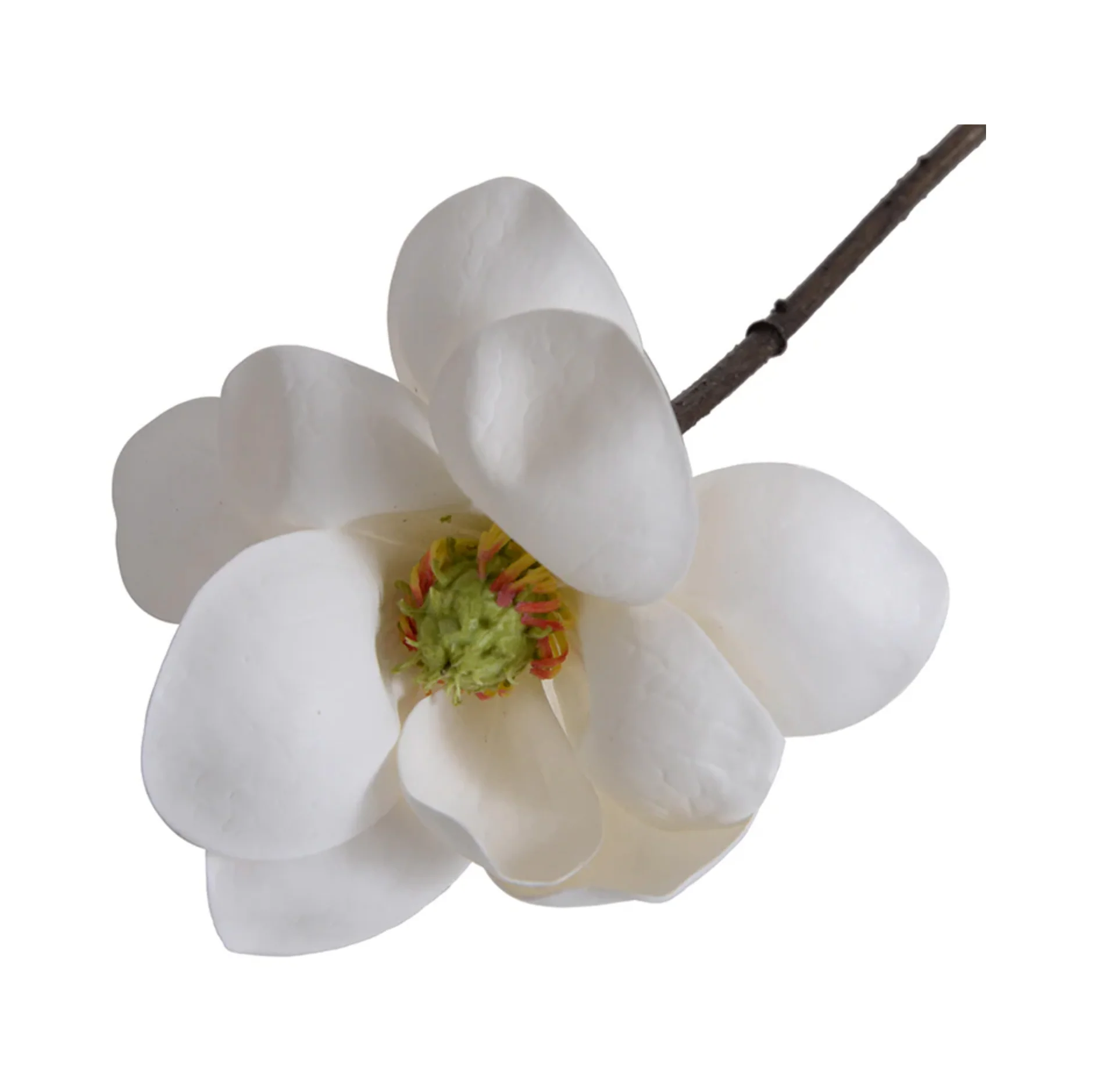 Magnolia Blossom stem - Image 2