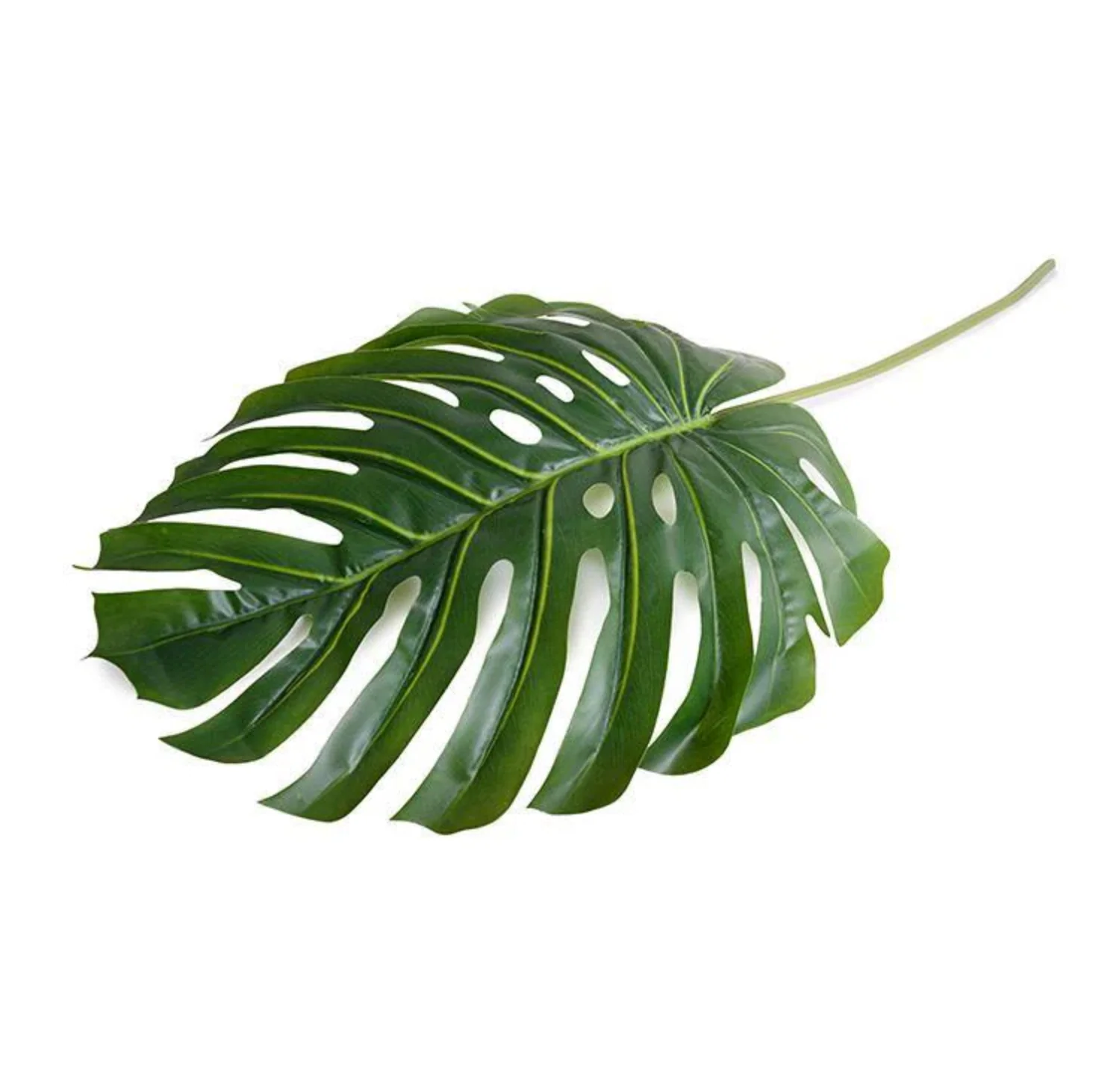 Monstera Leaf branch - Image 1
