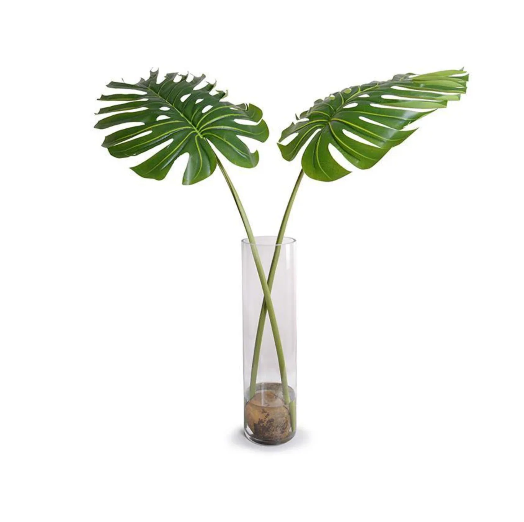 Monstera Leaf branch - Image 3