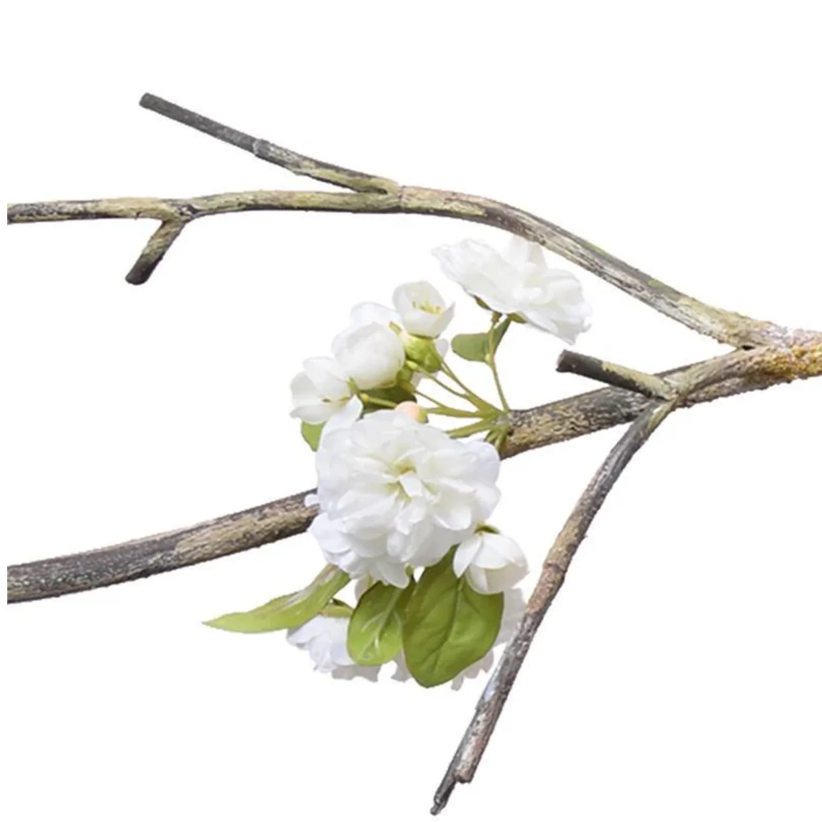 Peach Blossom Branch - Image 2