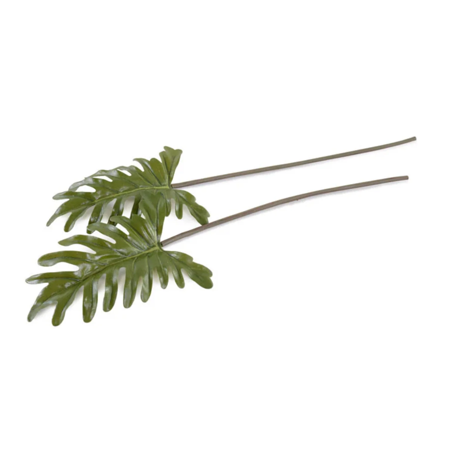 Philodendron Leaf Pick - Image 1