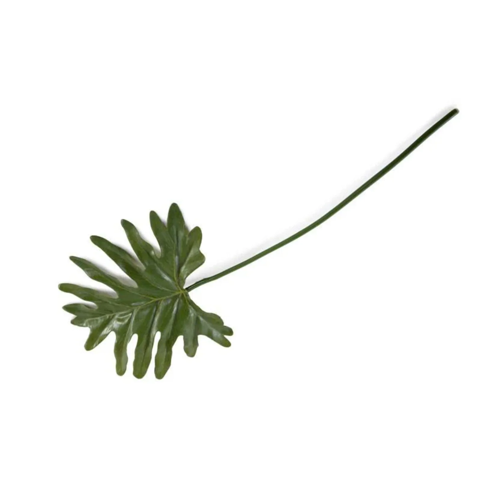 Philodendron Mini Monstera Leaf - Image 1