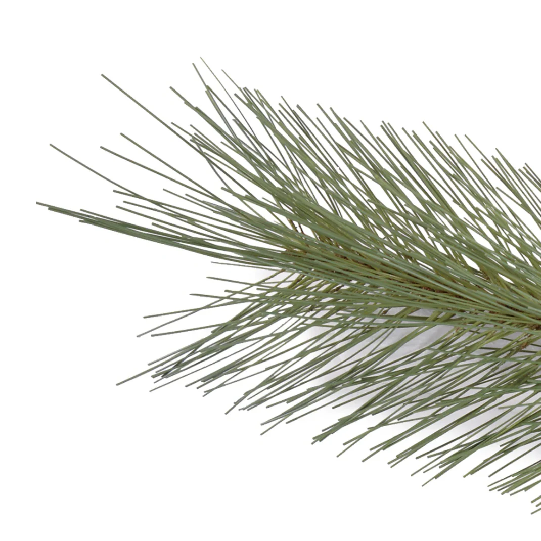 Pine Spray - Image 3