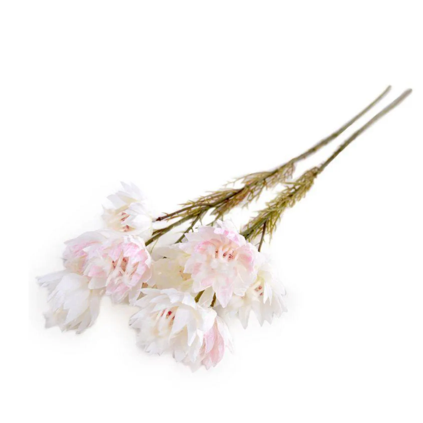 Protea Flower Stem - Image 1