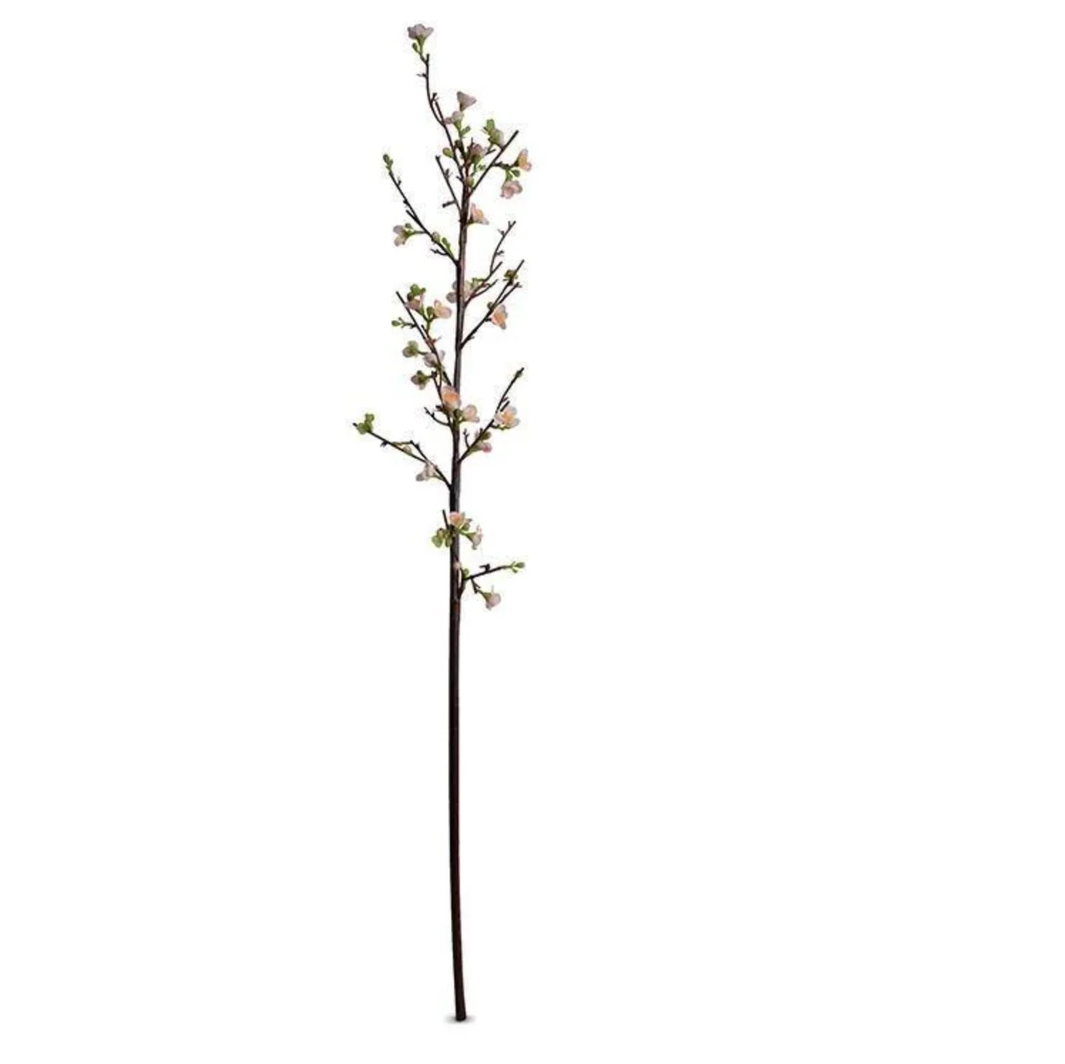 Quince flower branch - Image 1