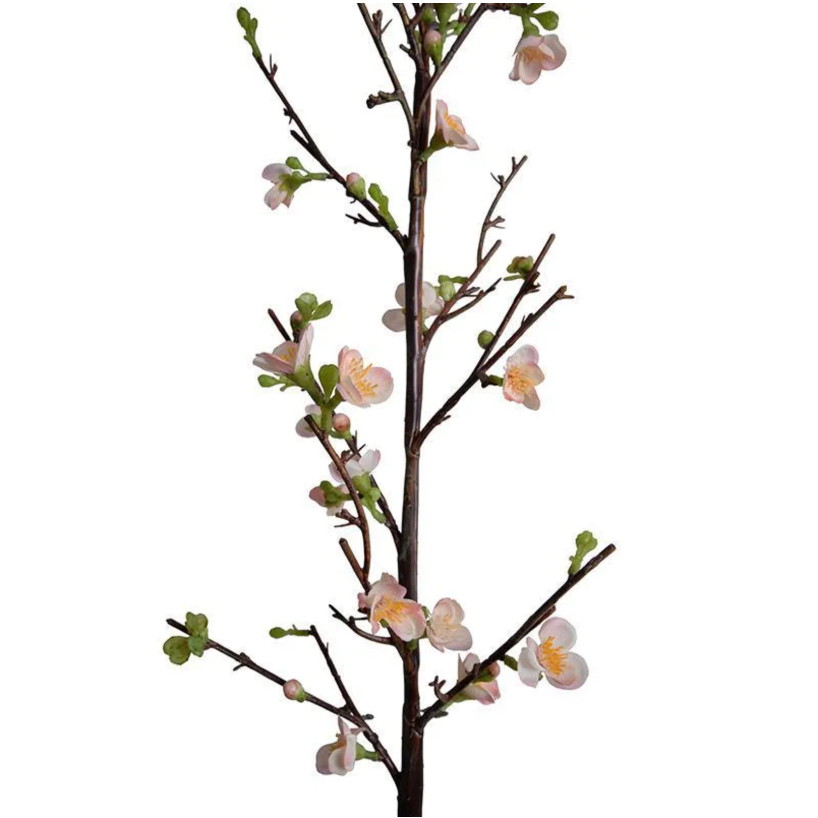 Quince flower branch - Image 2