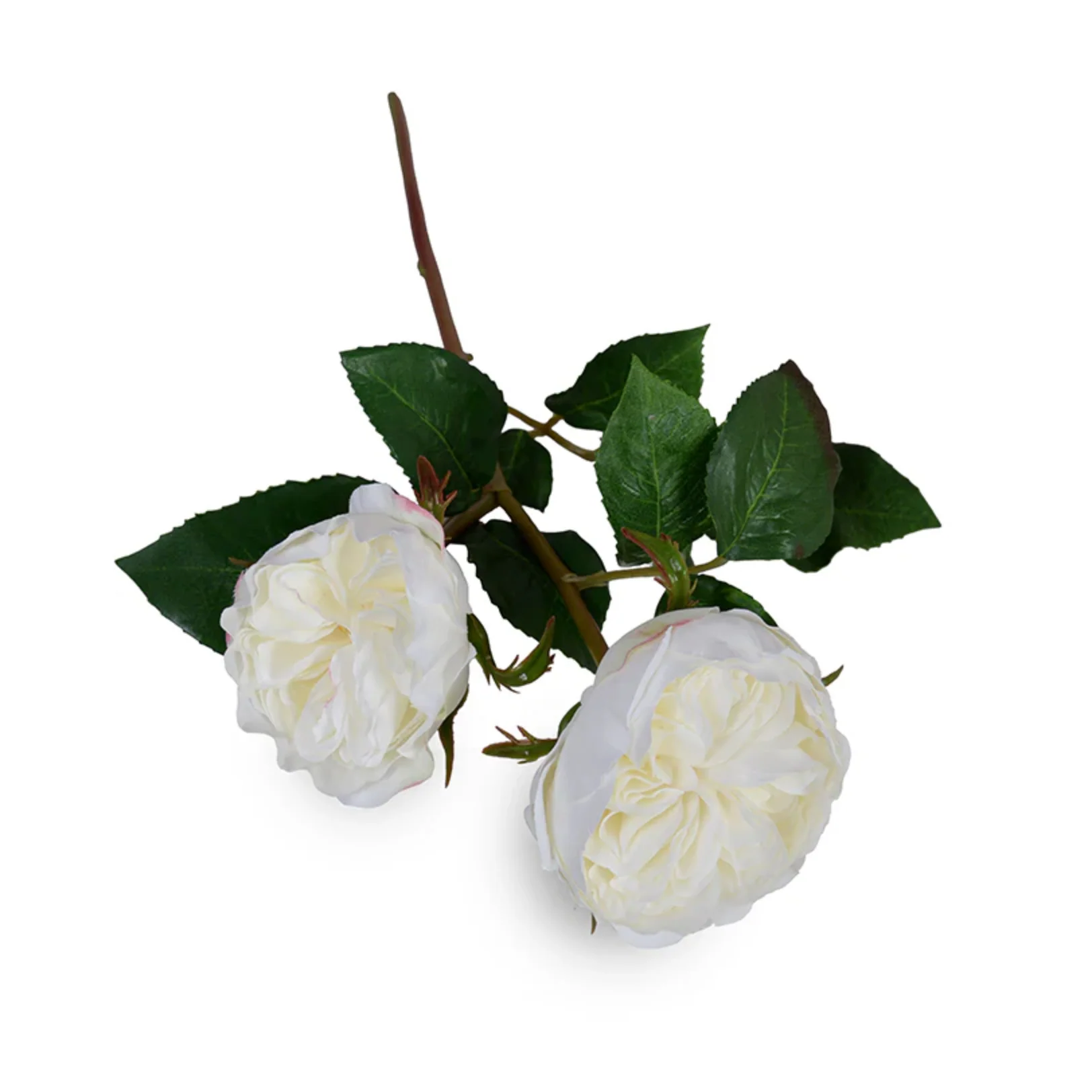 Rose double flower stem - Image 1