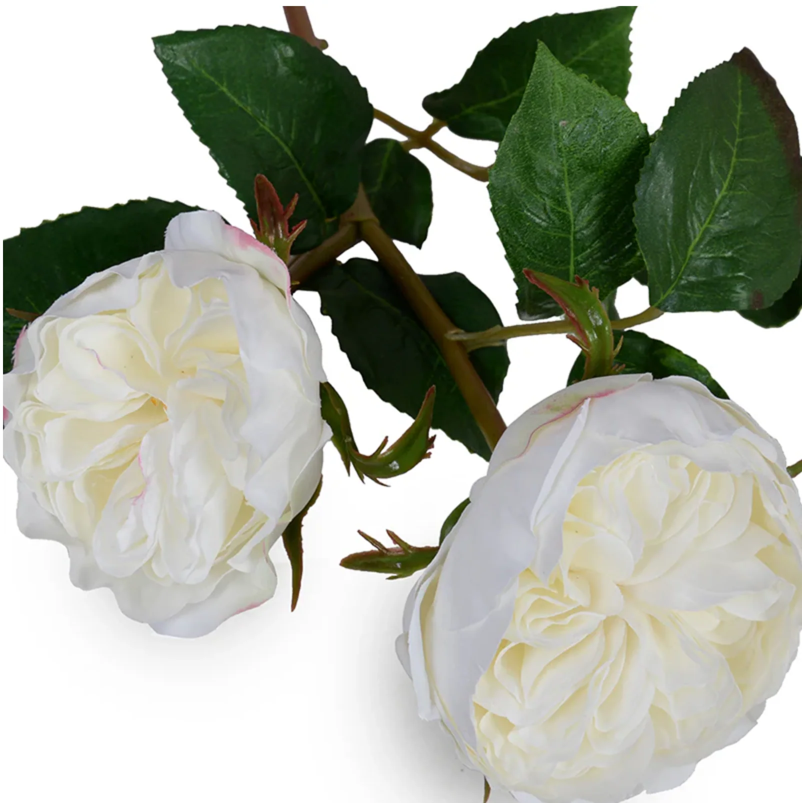 Rose double flower stem - Image 2