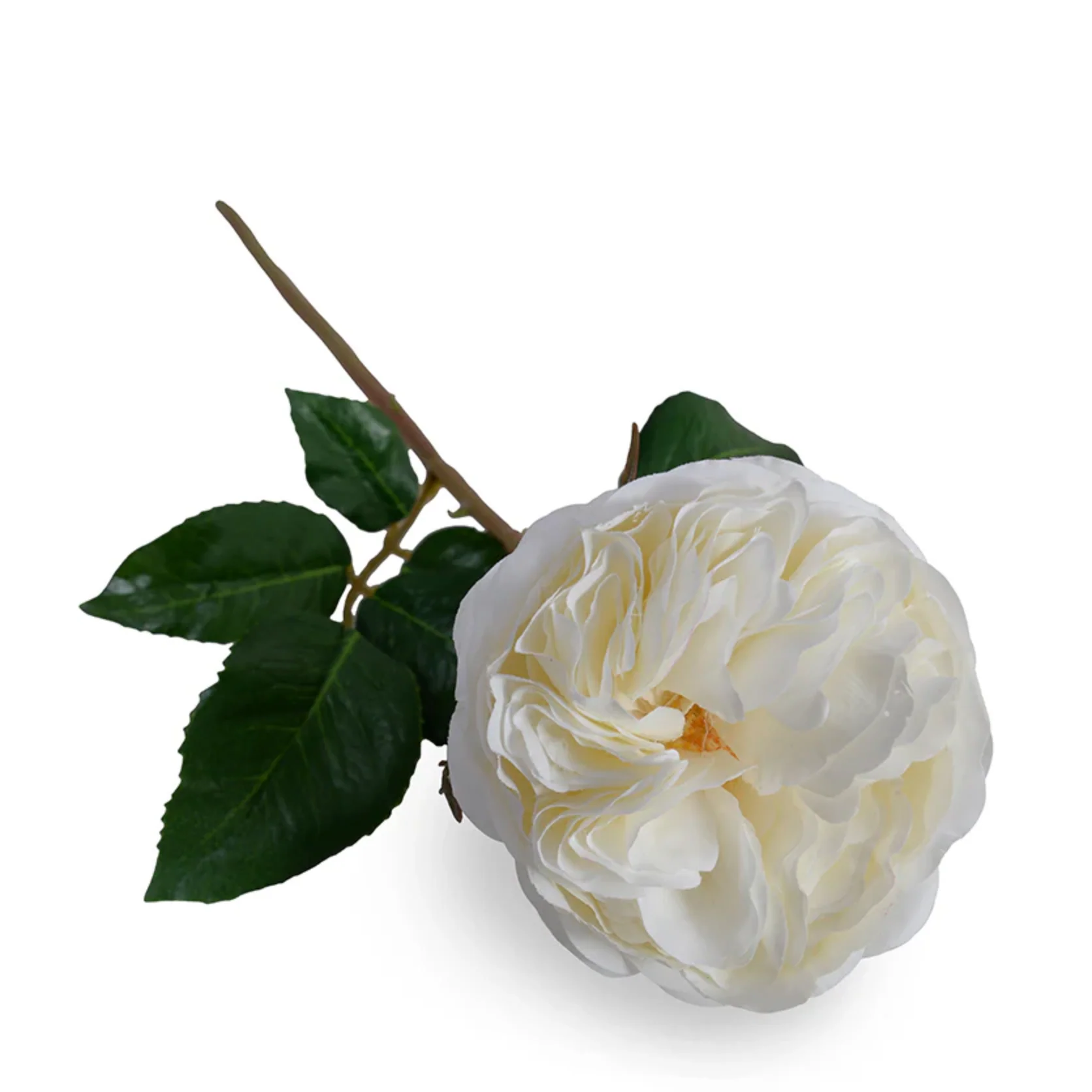 Rose single flower stem - Image 1