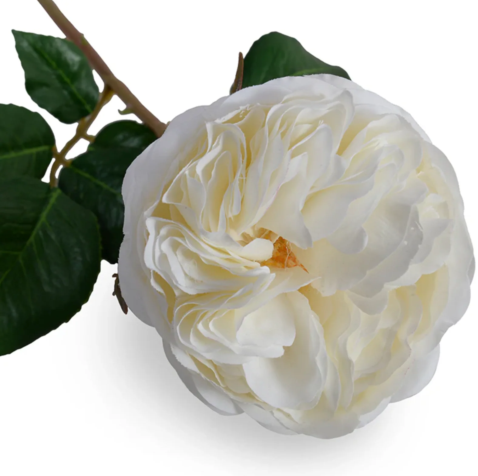 Rose single flower stem - Image 2