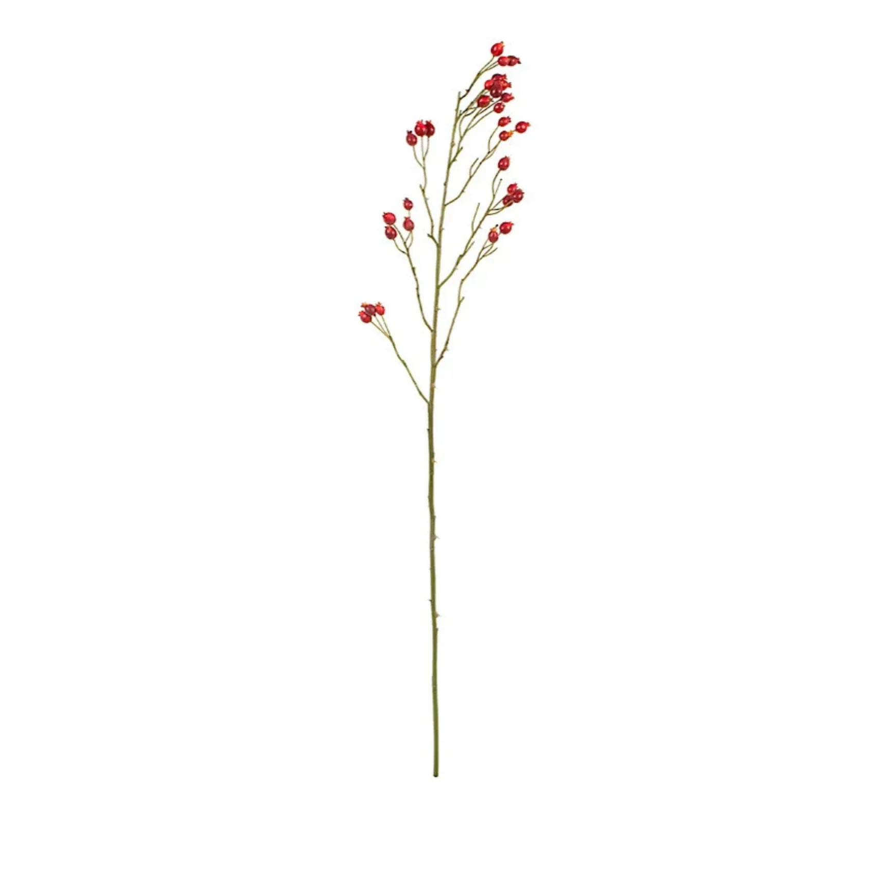 Rosehip Stem - Image 1
