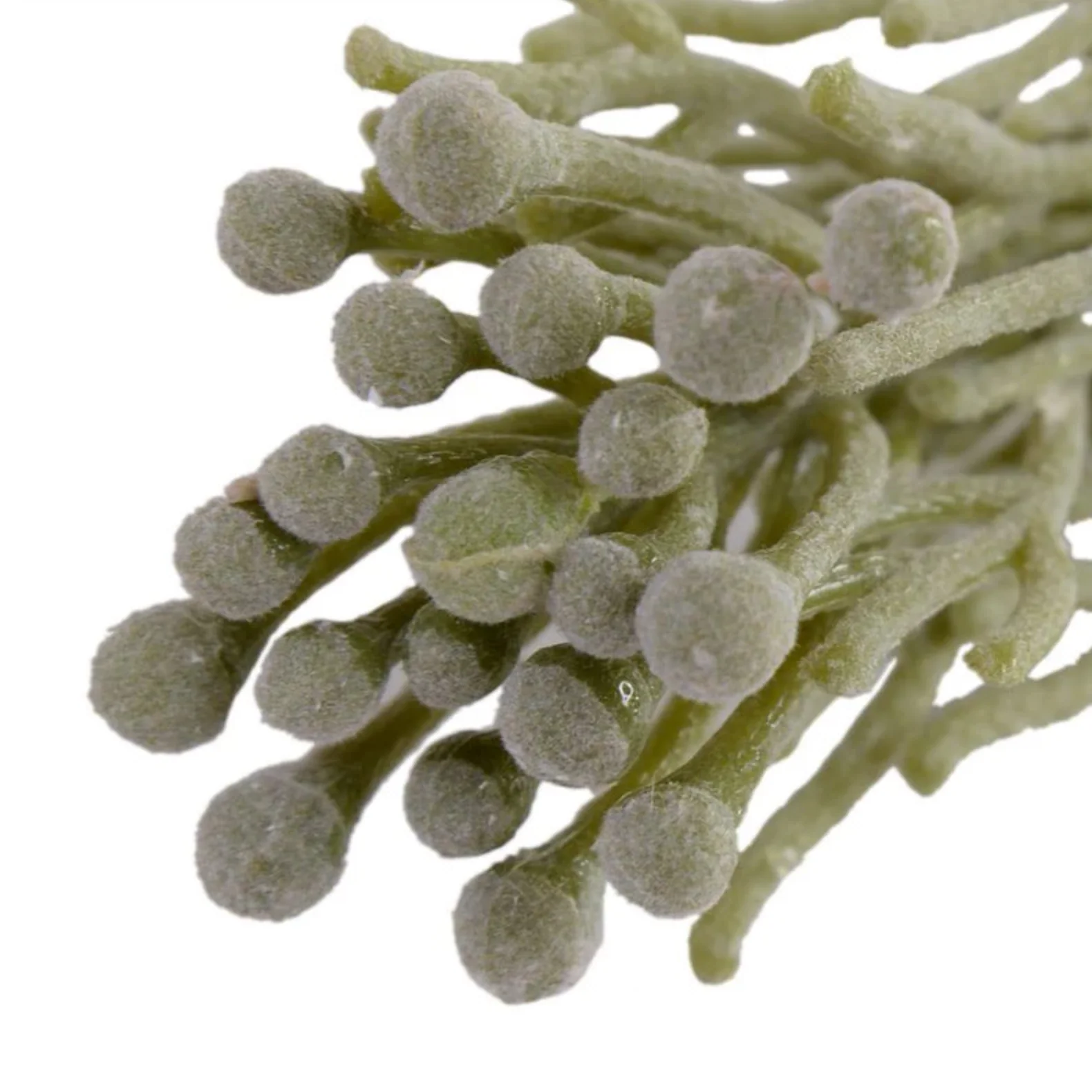 Silver Brunia Pick - Image 2