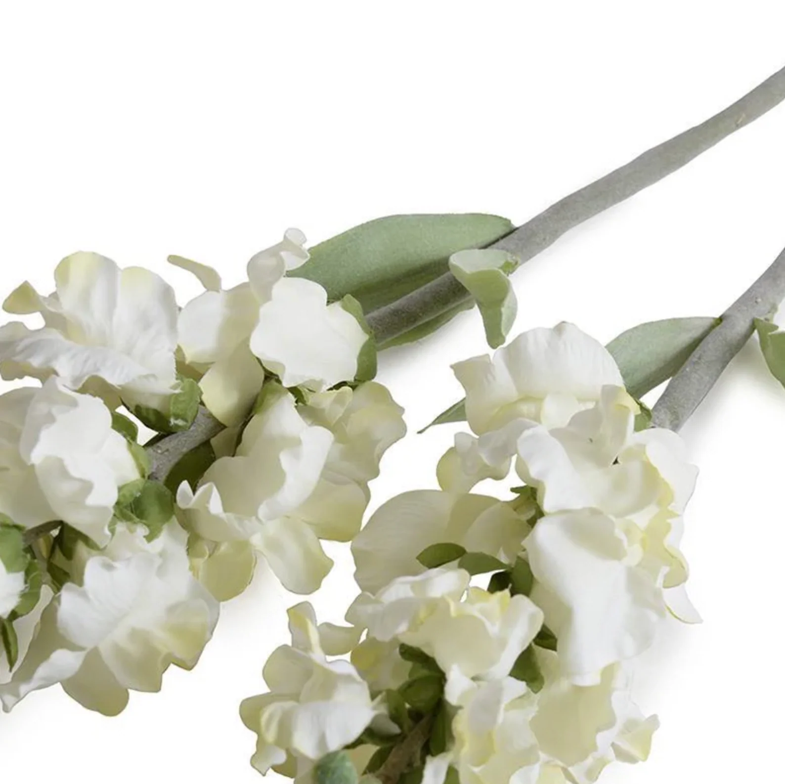 Snapdragon Stem - Image 2