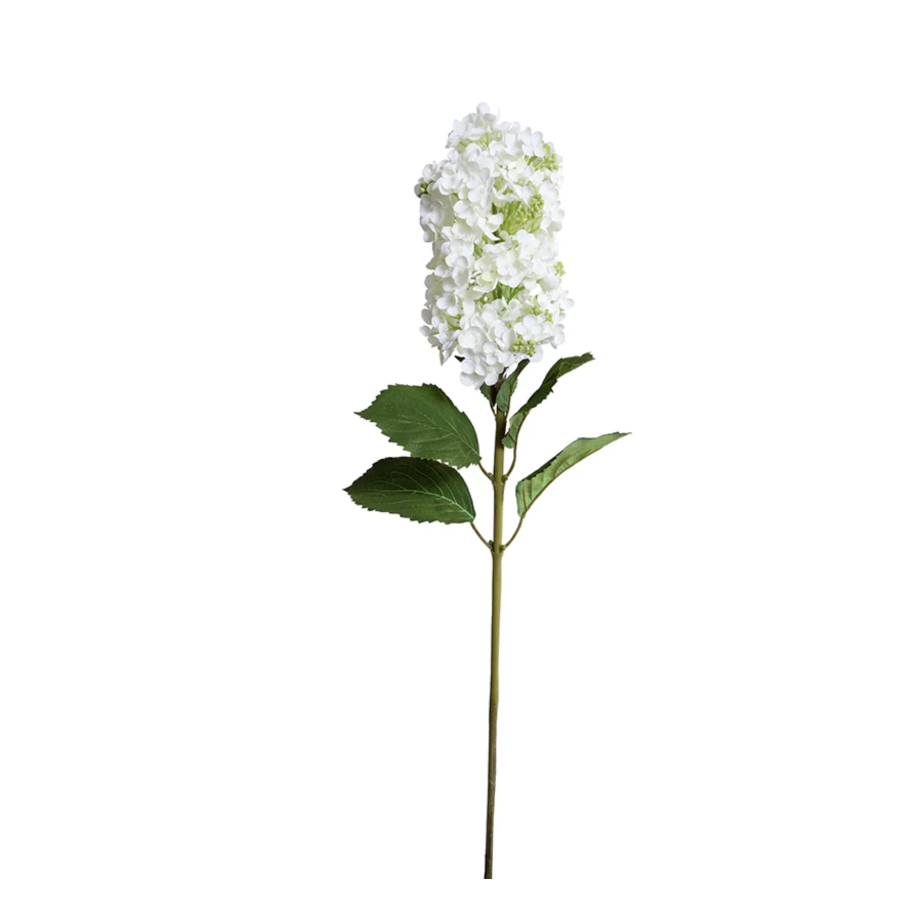 Snowflake Hydrangea Stem - Image 1