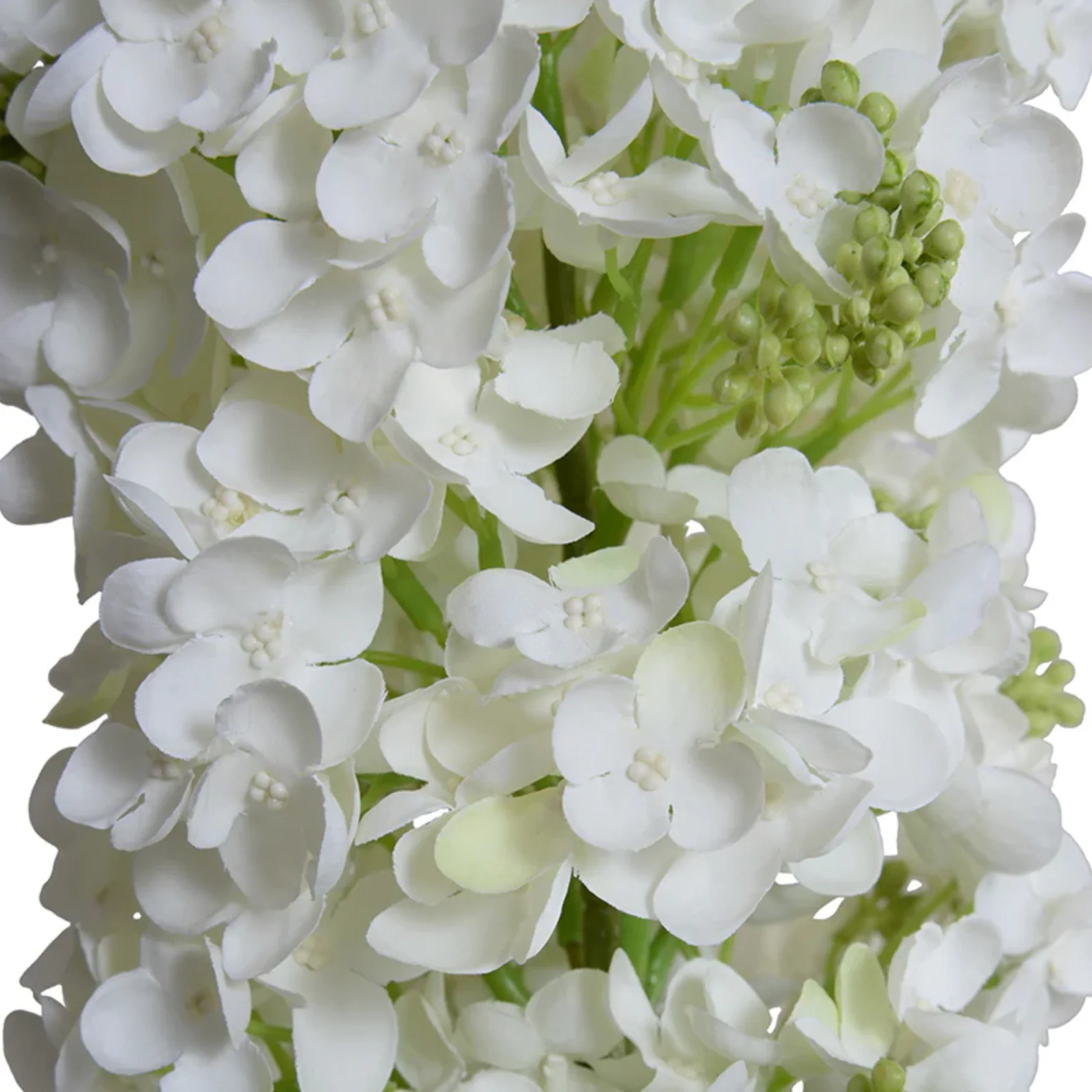 Snowflake Hydrangea Stem - Image 2