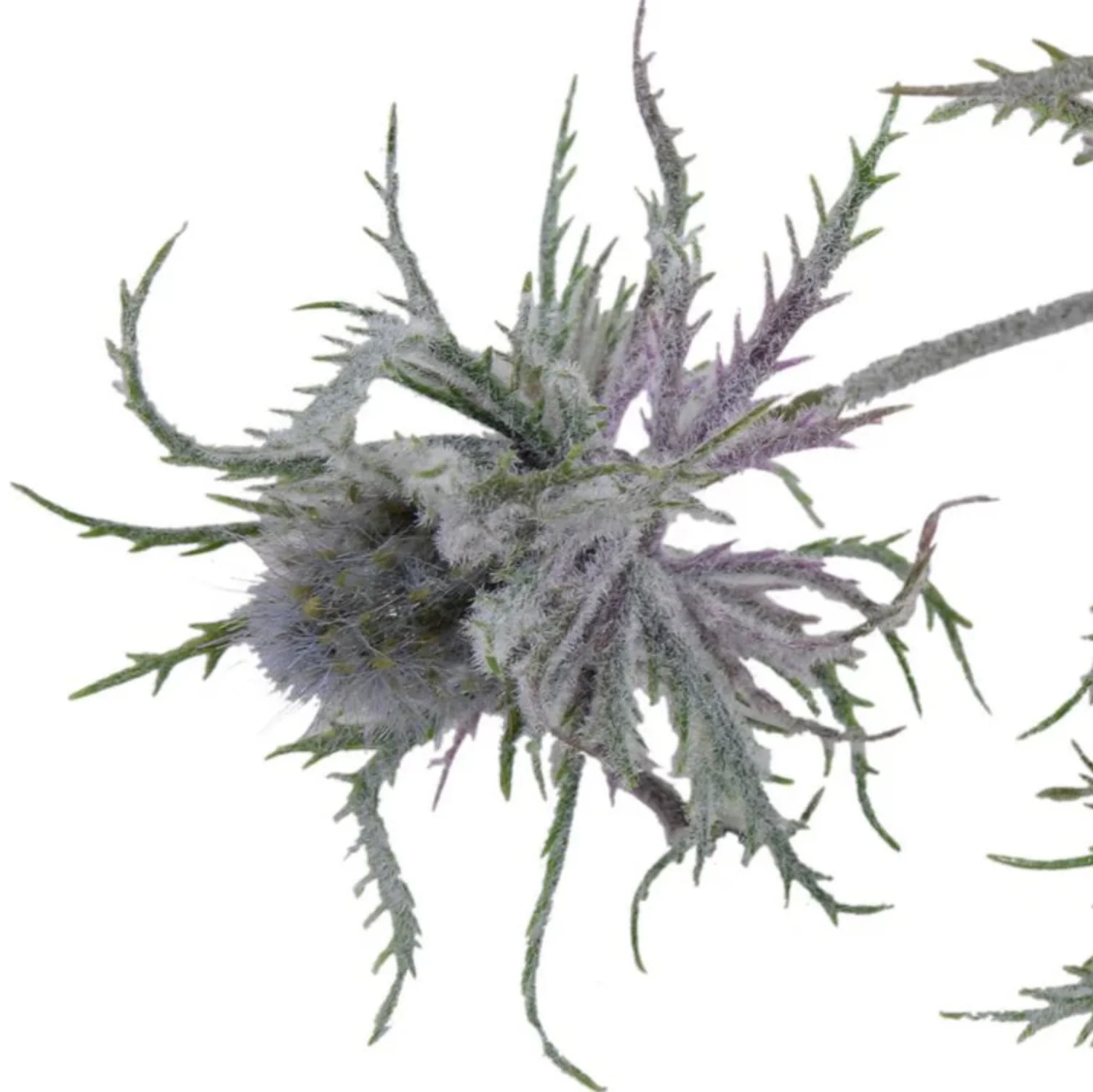 Thistle Spray - Image 2