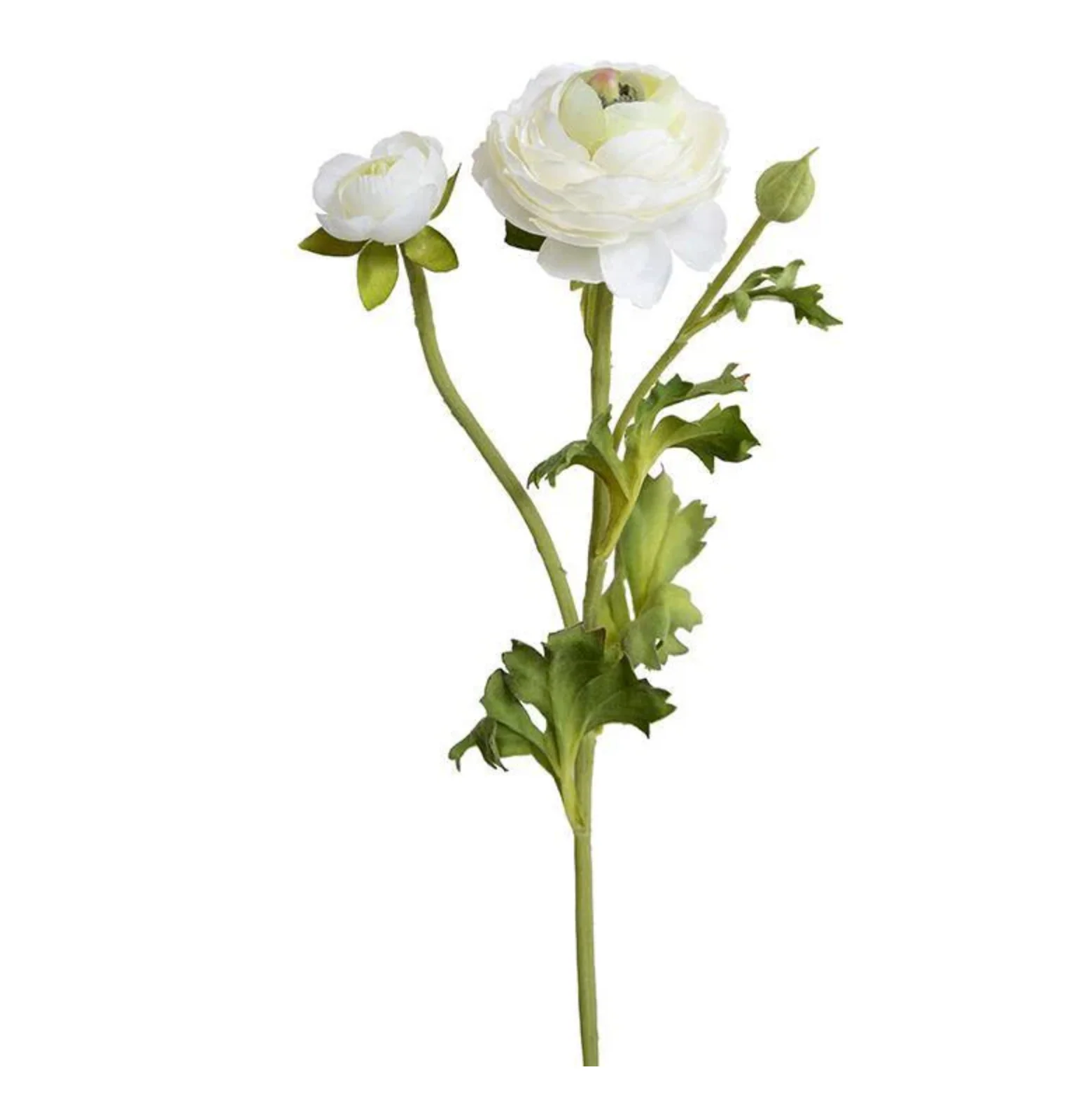 Ranunculus Spray - Image 2