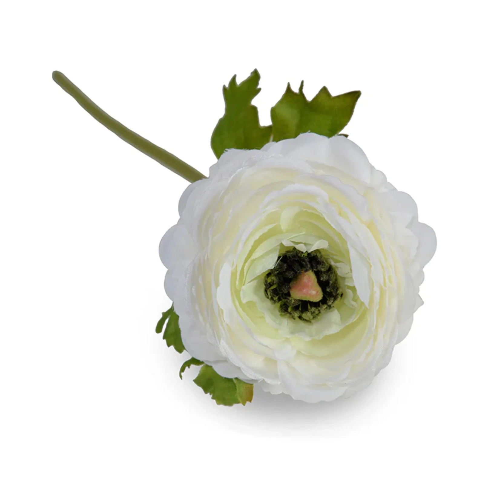 Ranunculus Stem - Image 1