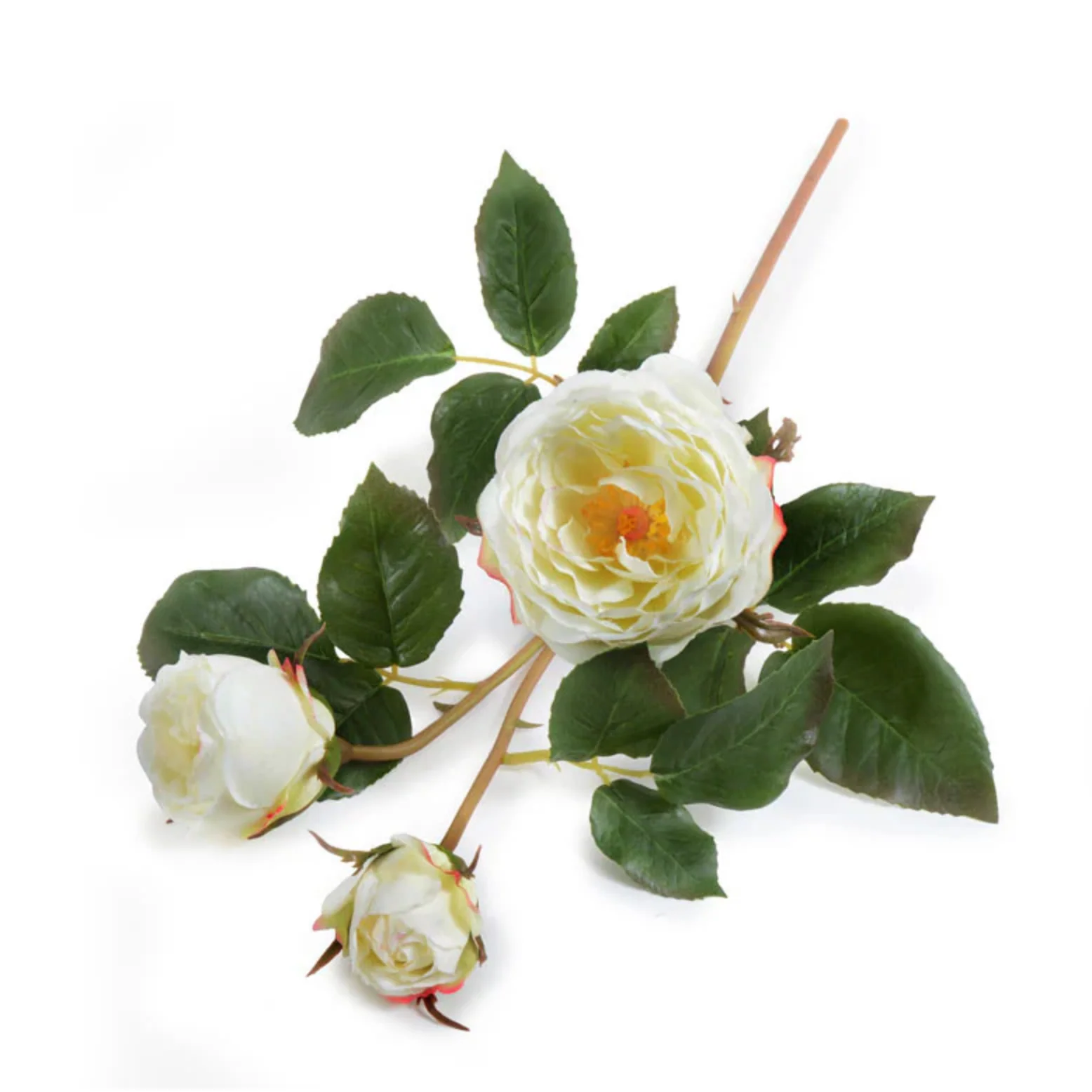 Rose Bud Stem - Image 1