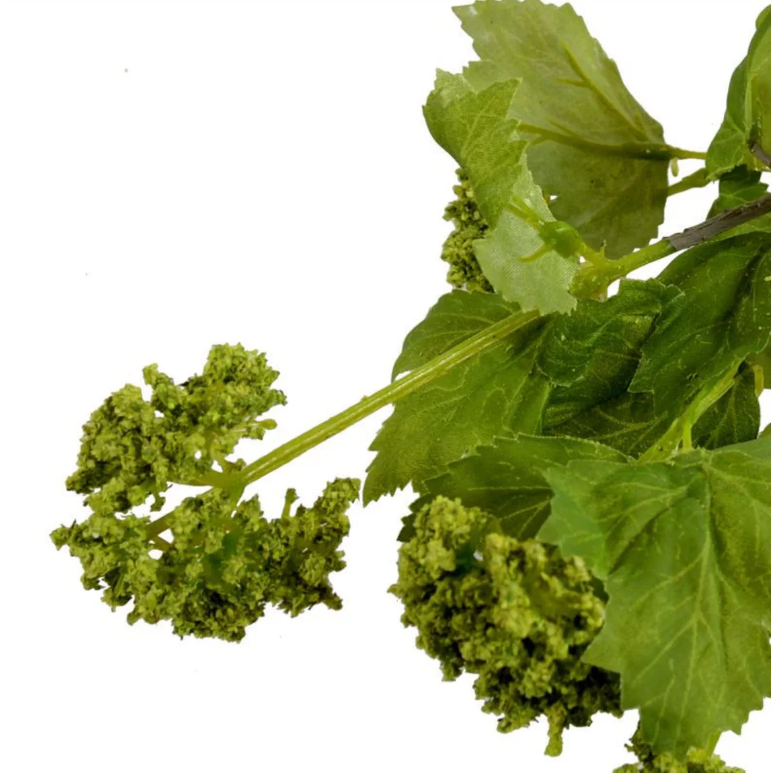 Viburnum Spray - Image 2
