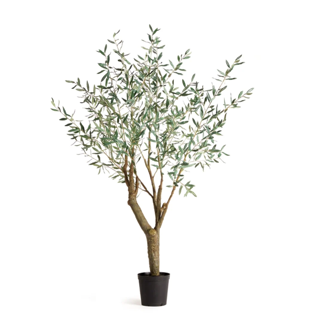 Olive Tree | Grand | 6′ | Floor Model