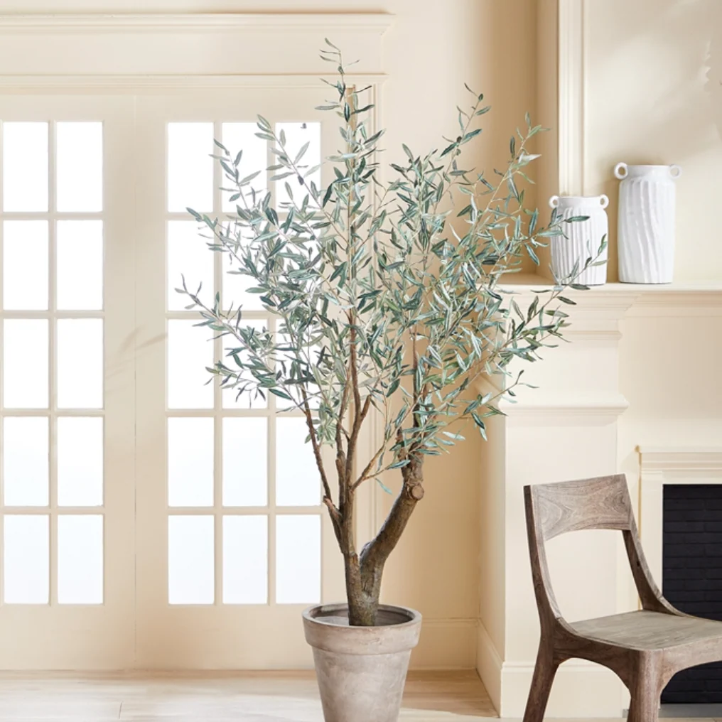 Olive Tree | Grand | 6' | Floor Model - Image 3