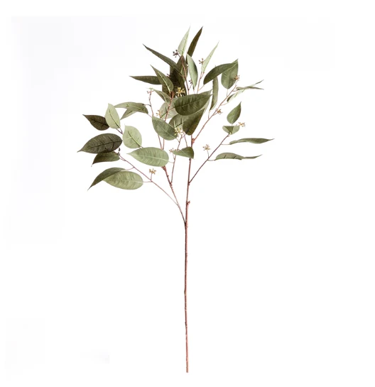EUCALYPTUS SEED STEM 41" - Image 1