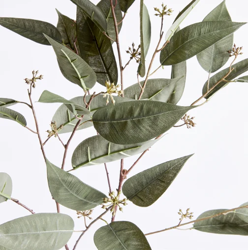 EUCALYPTUS SEED STEM 41" - Image 2