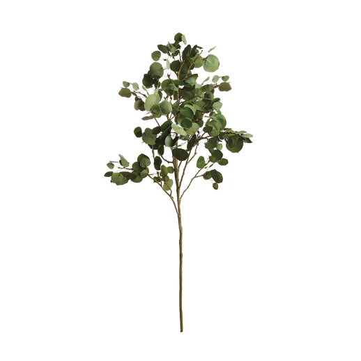 ASPEN BRANCH 51″