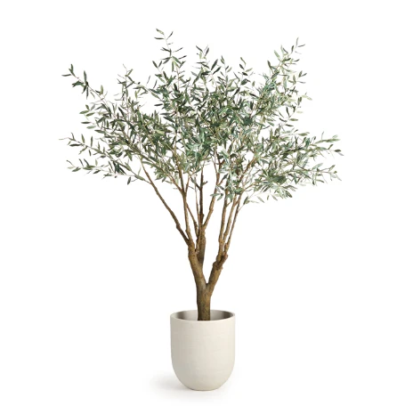 Olive Tree | Grand | 8' | Floor Model - Image 3
