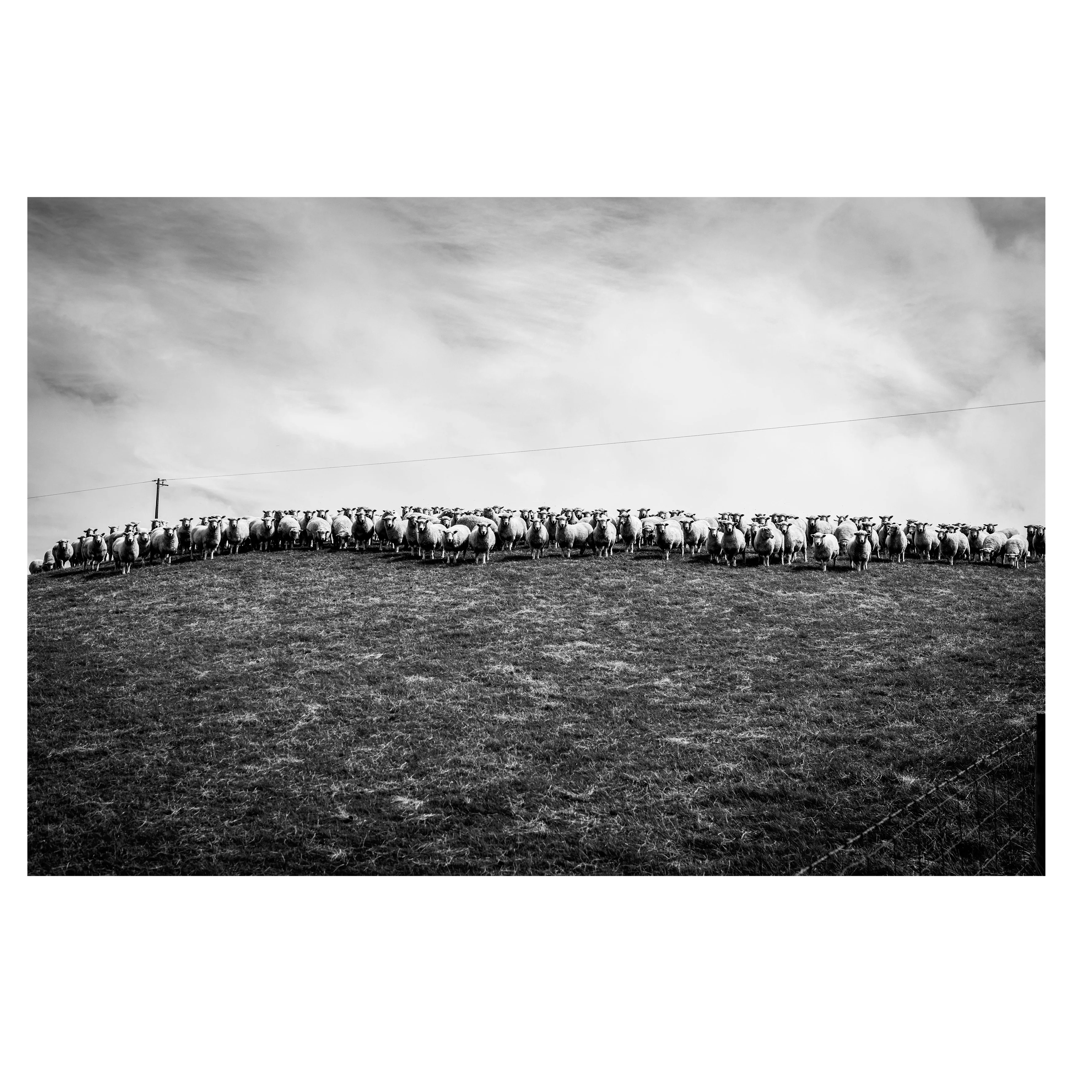 Echoes of the Catlins - Image 2