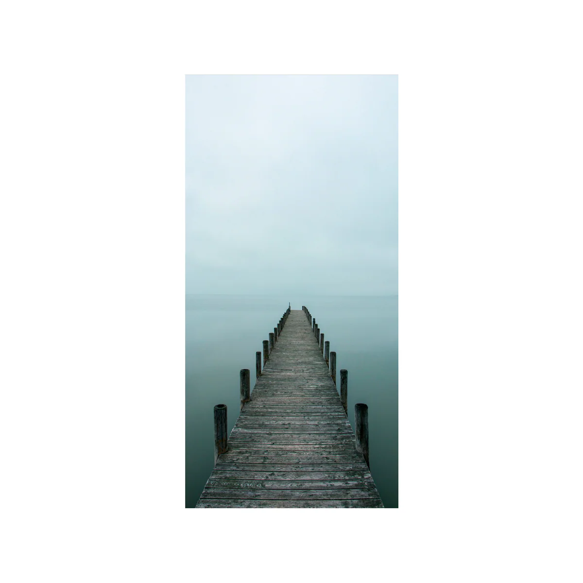 The Dock - Image 1