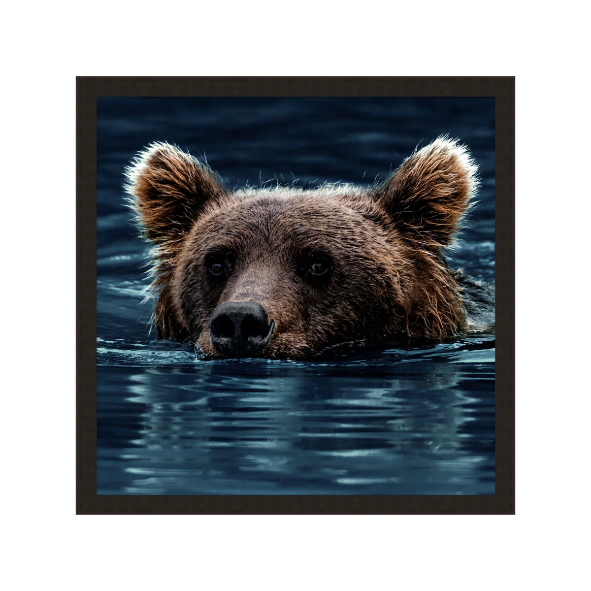 Bear in the Blue
