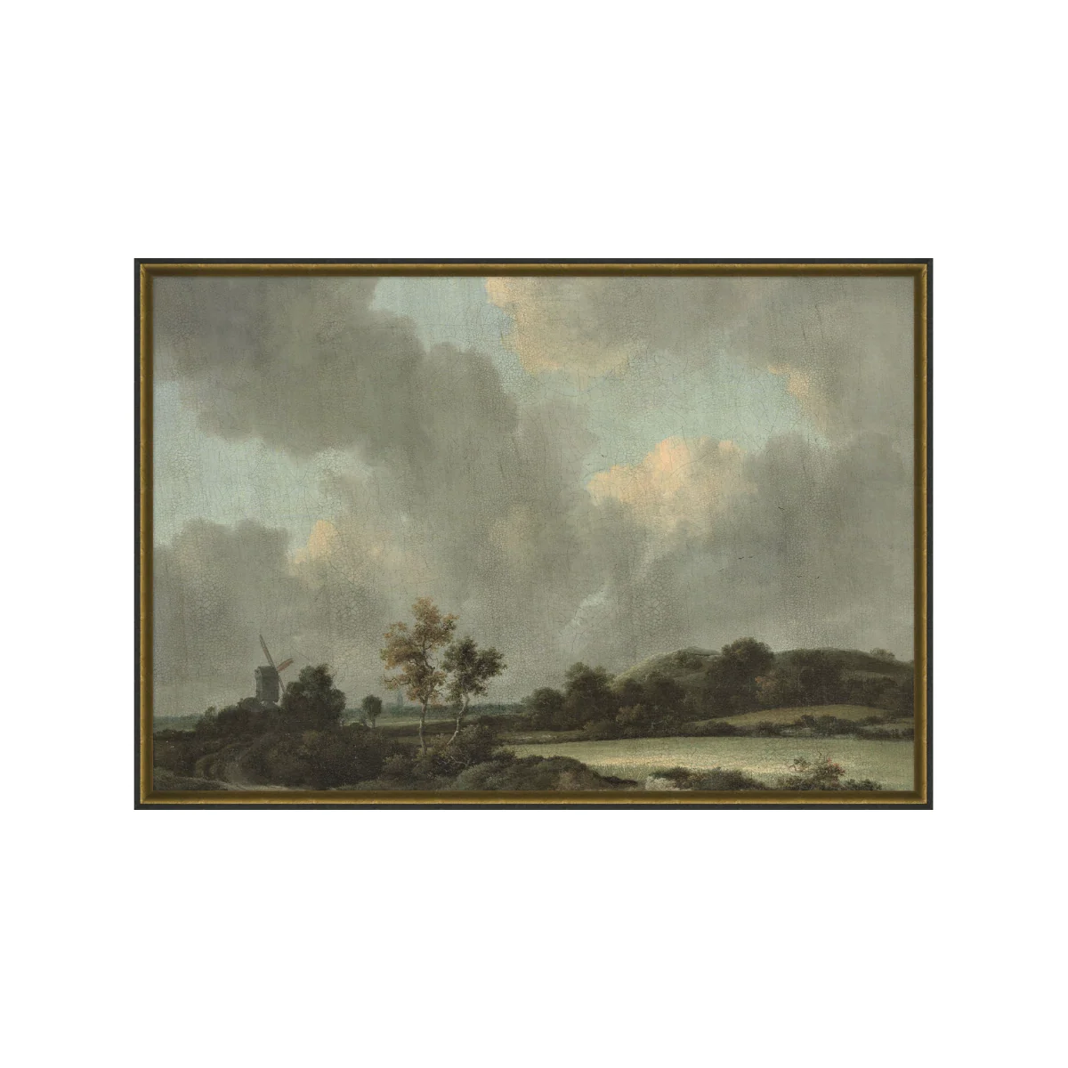 Cloudy Fields