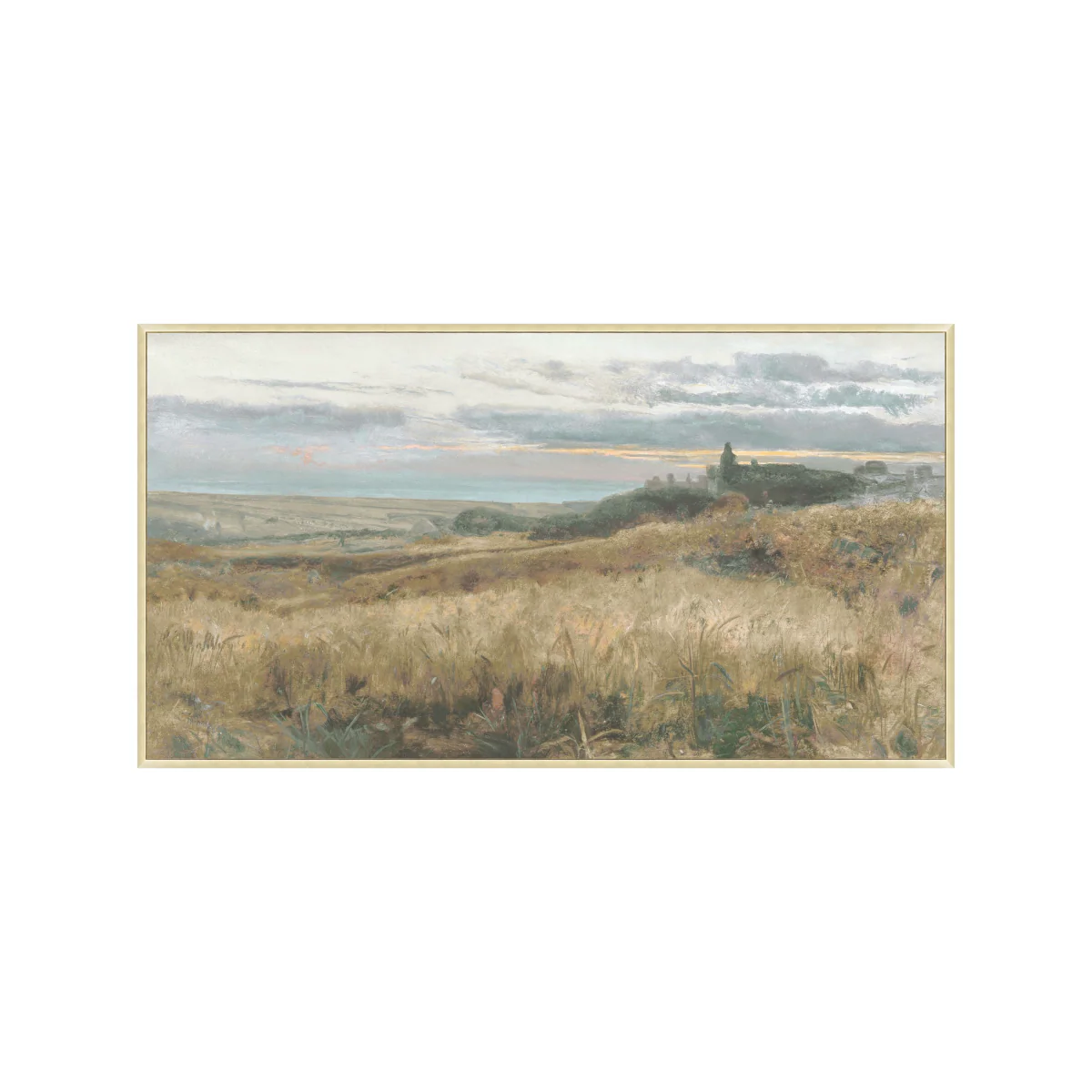 Sunset Fields