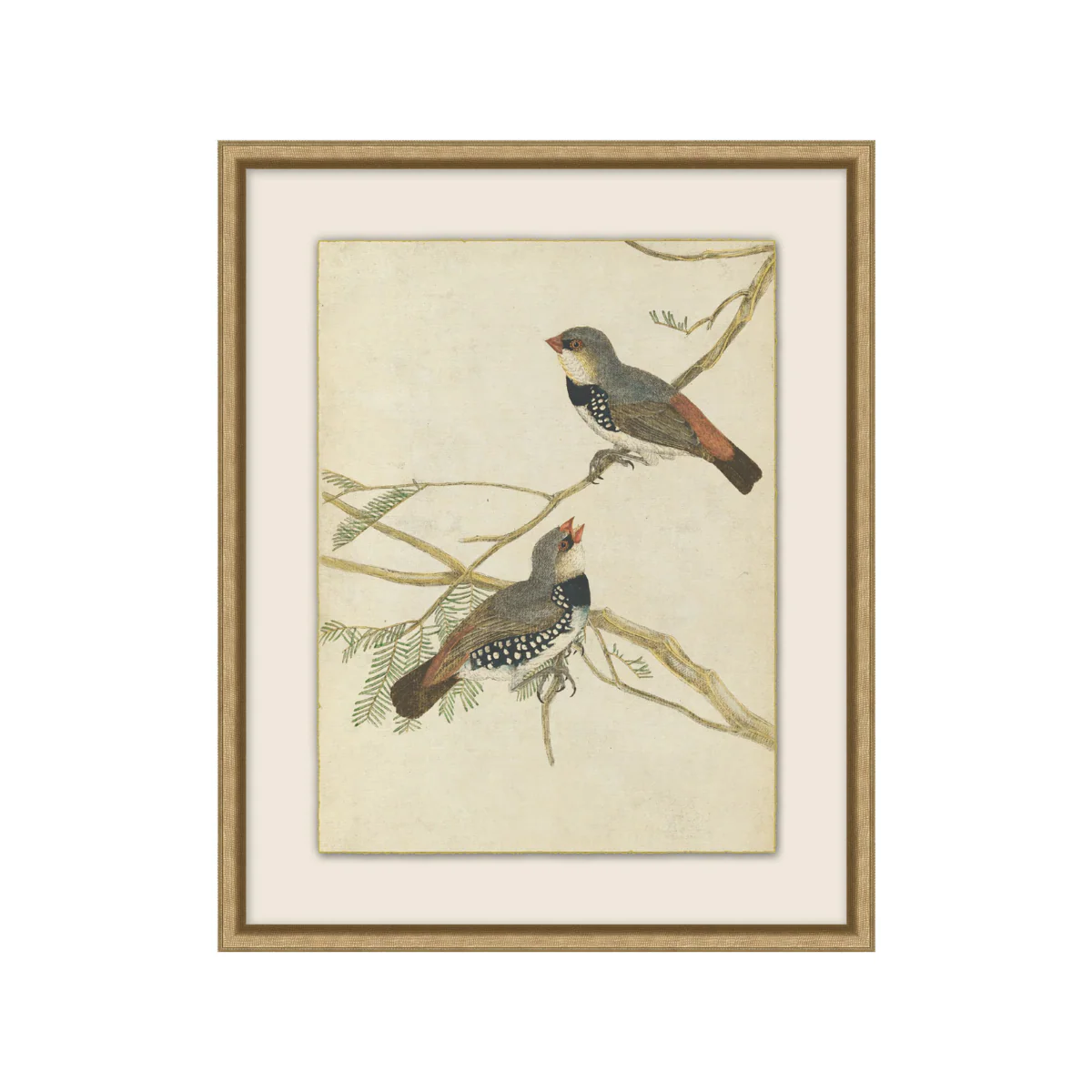 Autumnal Birds