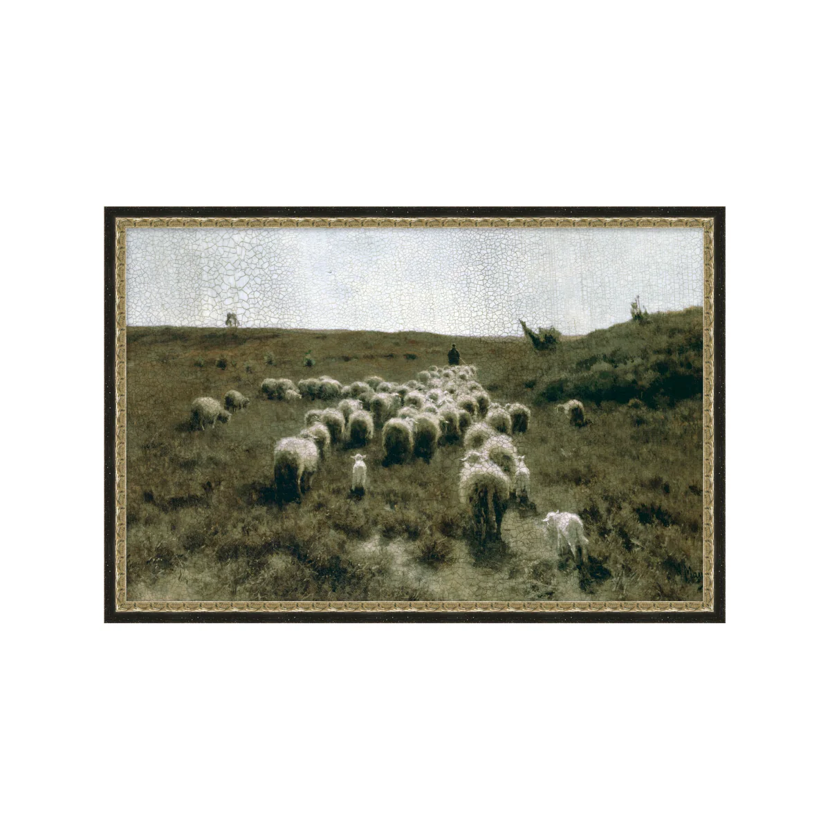The Flock - Image 1