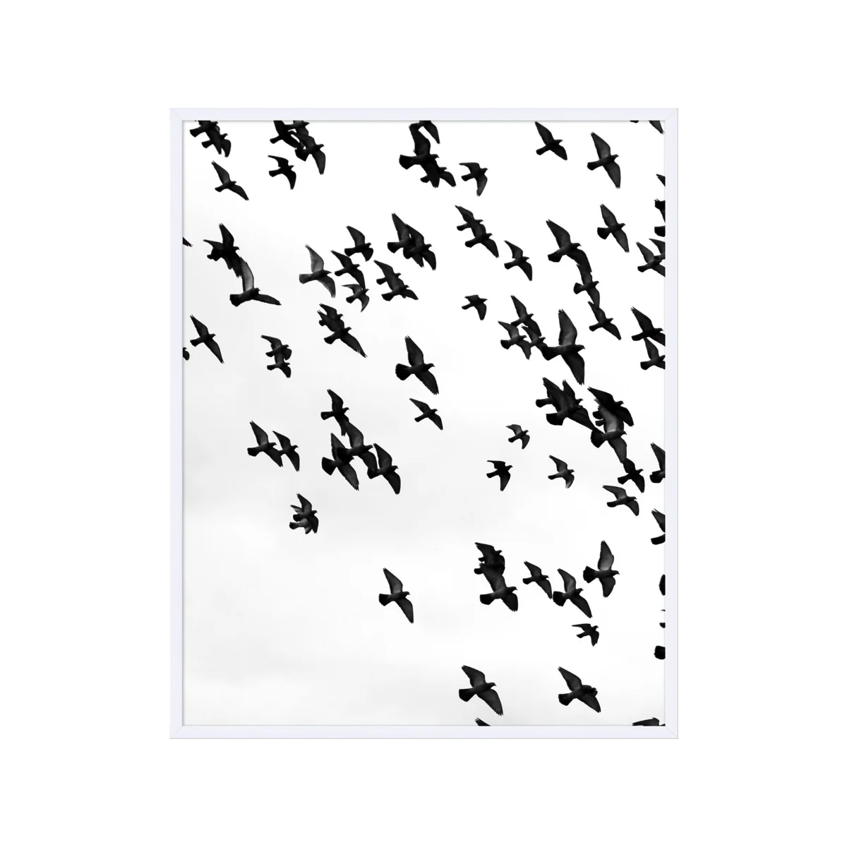 Soar