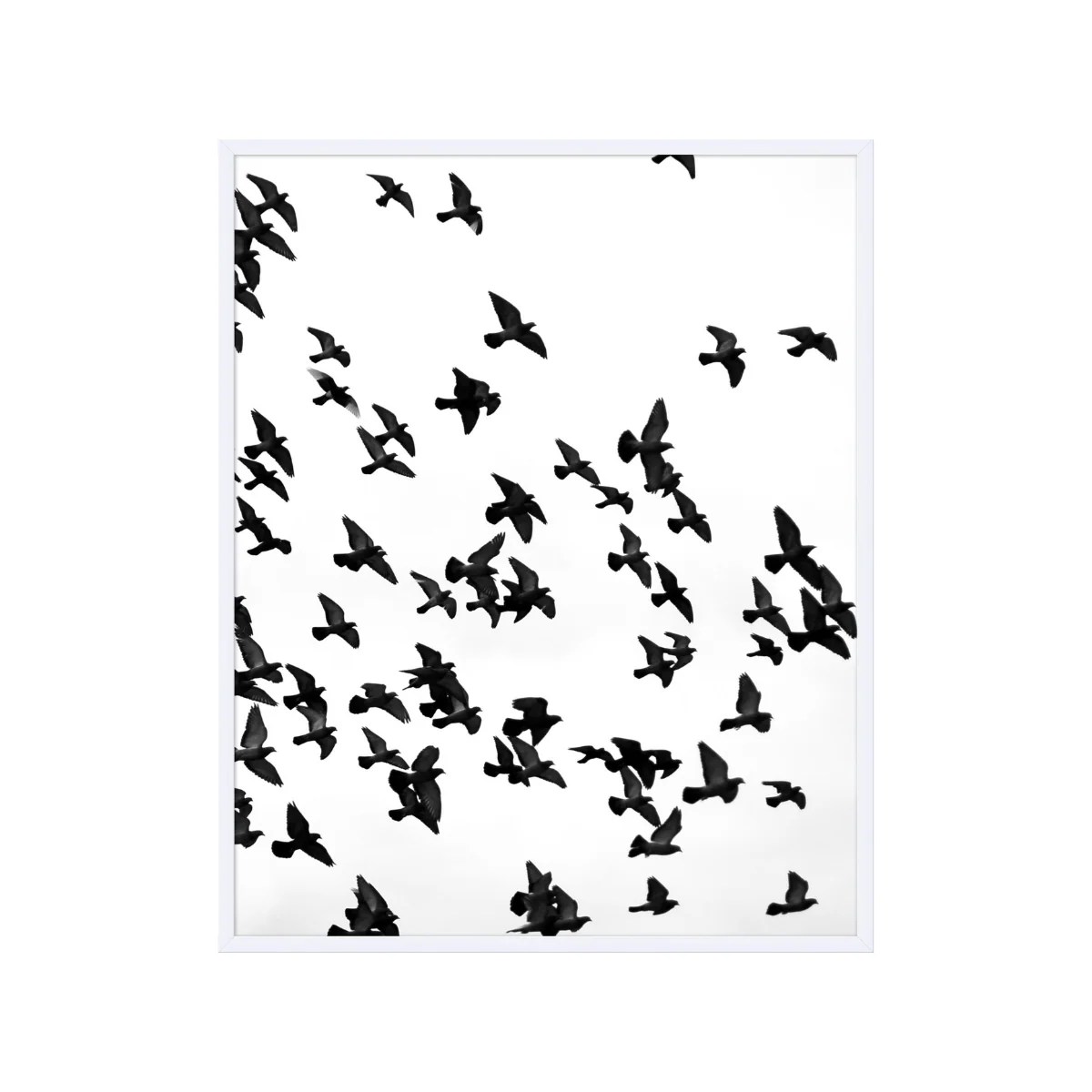 Soar II - Image 1