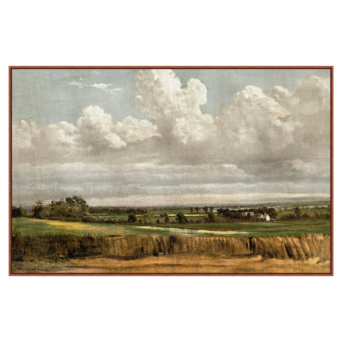 Wheatfield