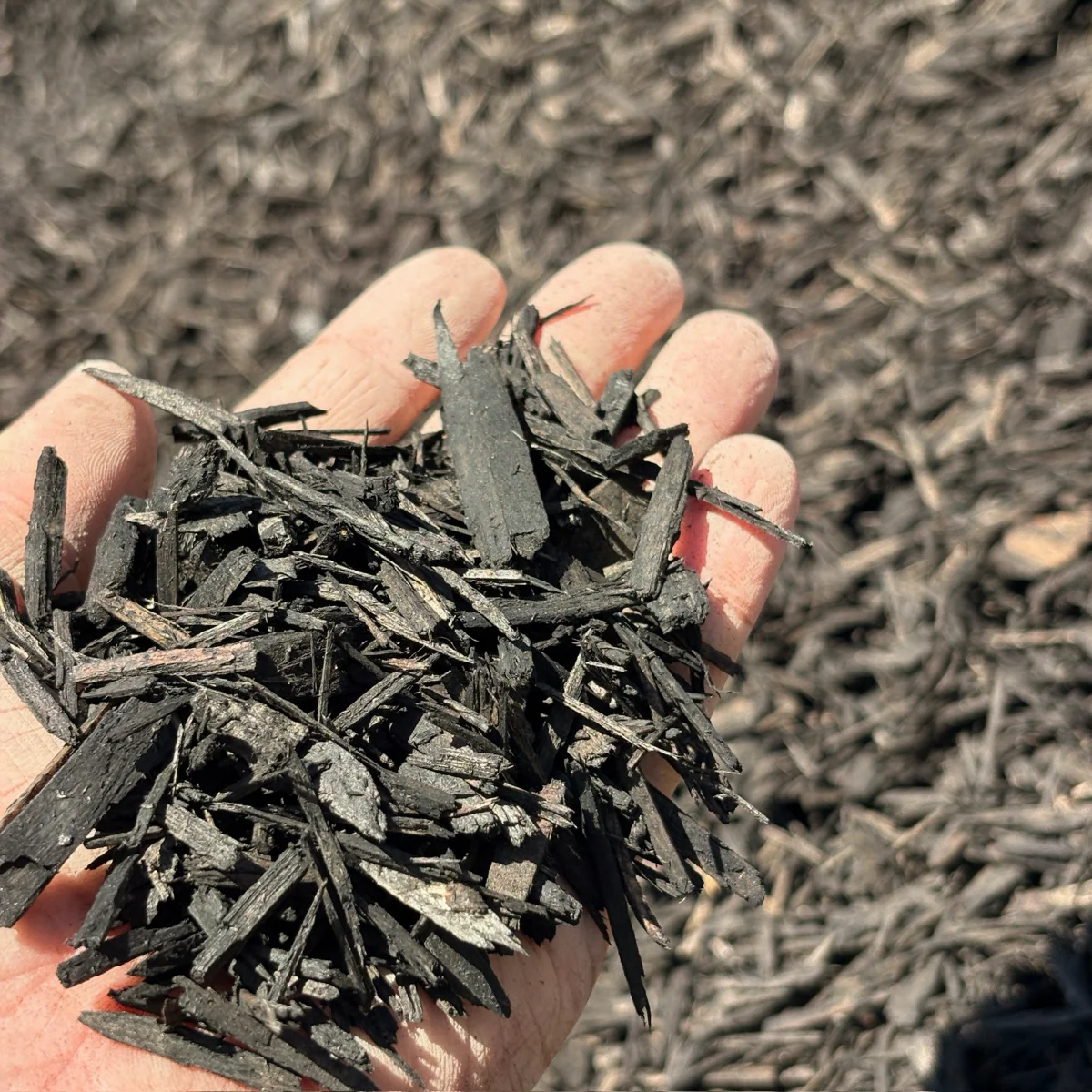 Black Wood Mulch - Image 1
