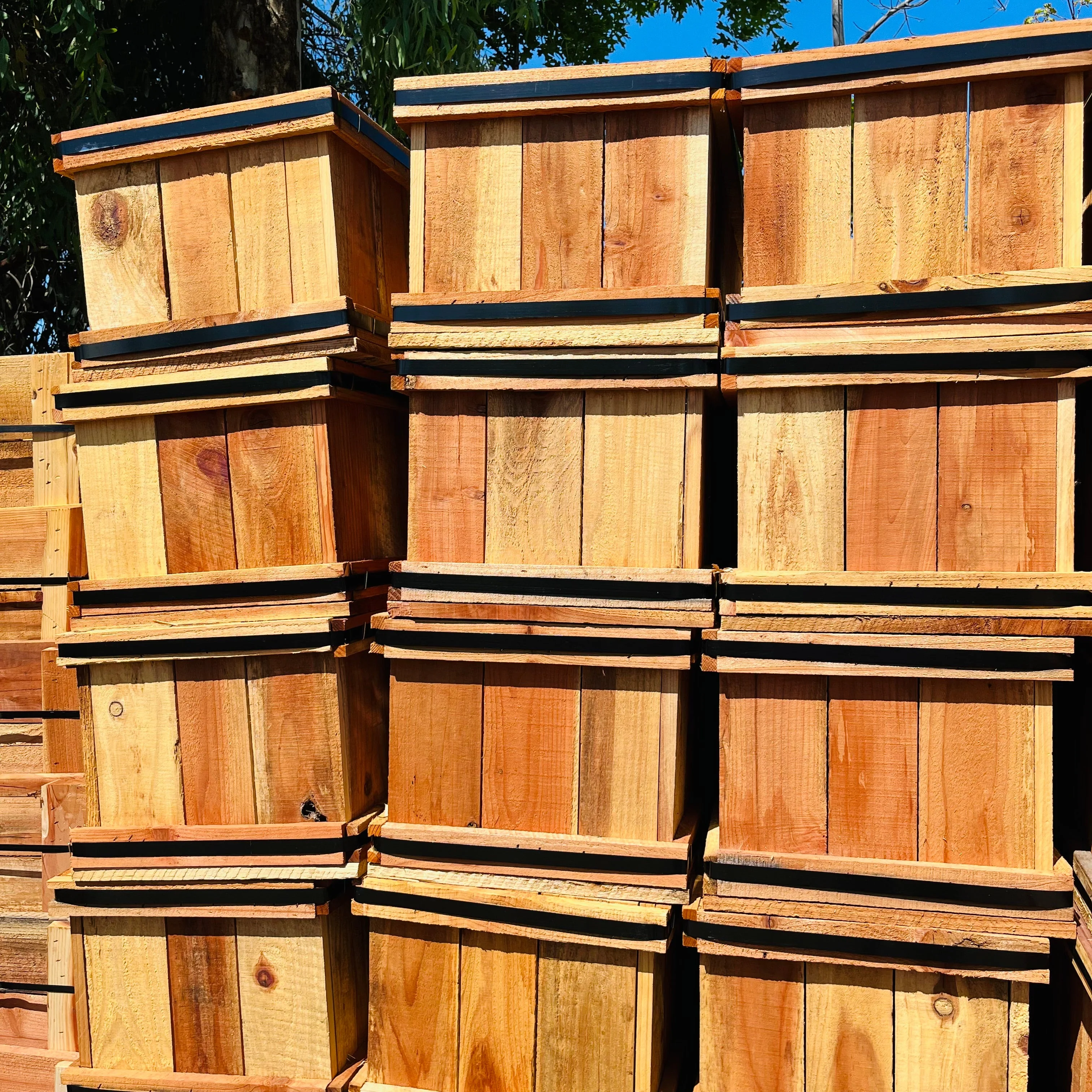 Wooden Rectangular Planting Box - Image 2
