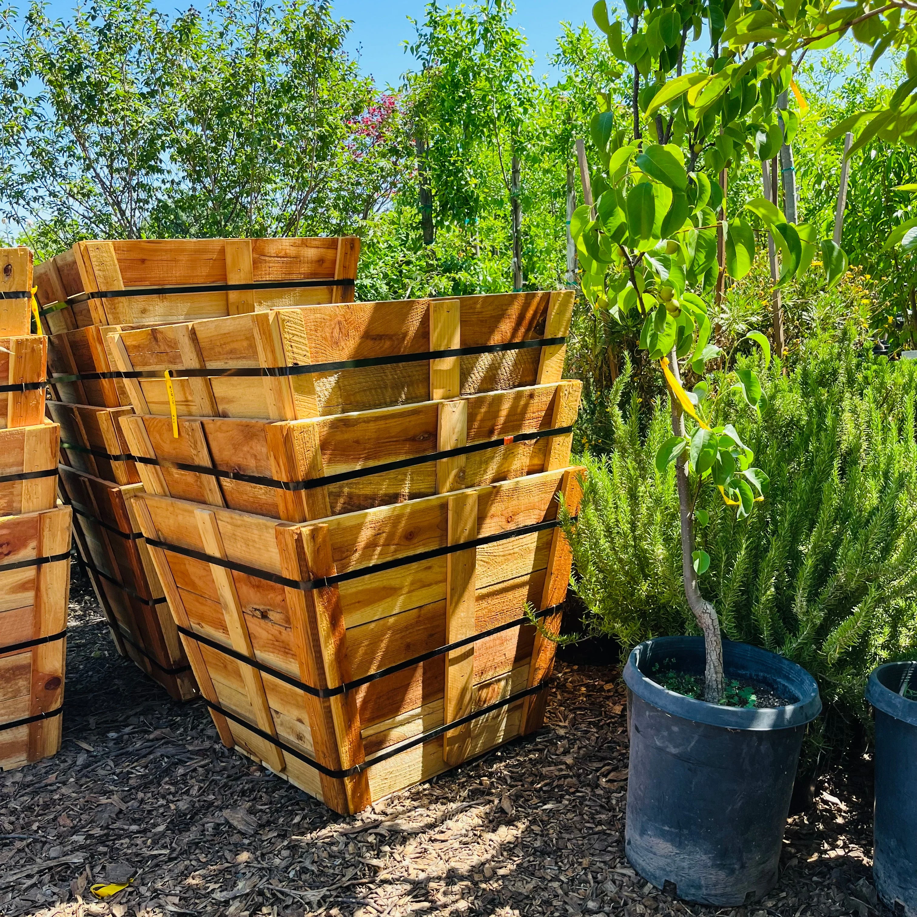 Wooden Square Planting Box