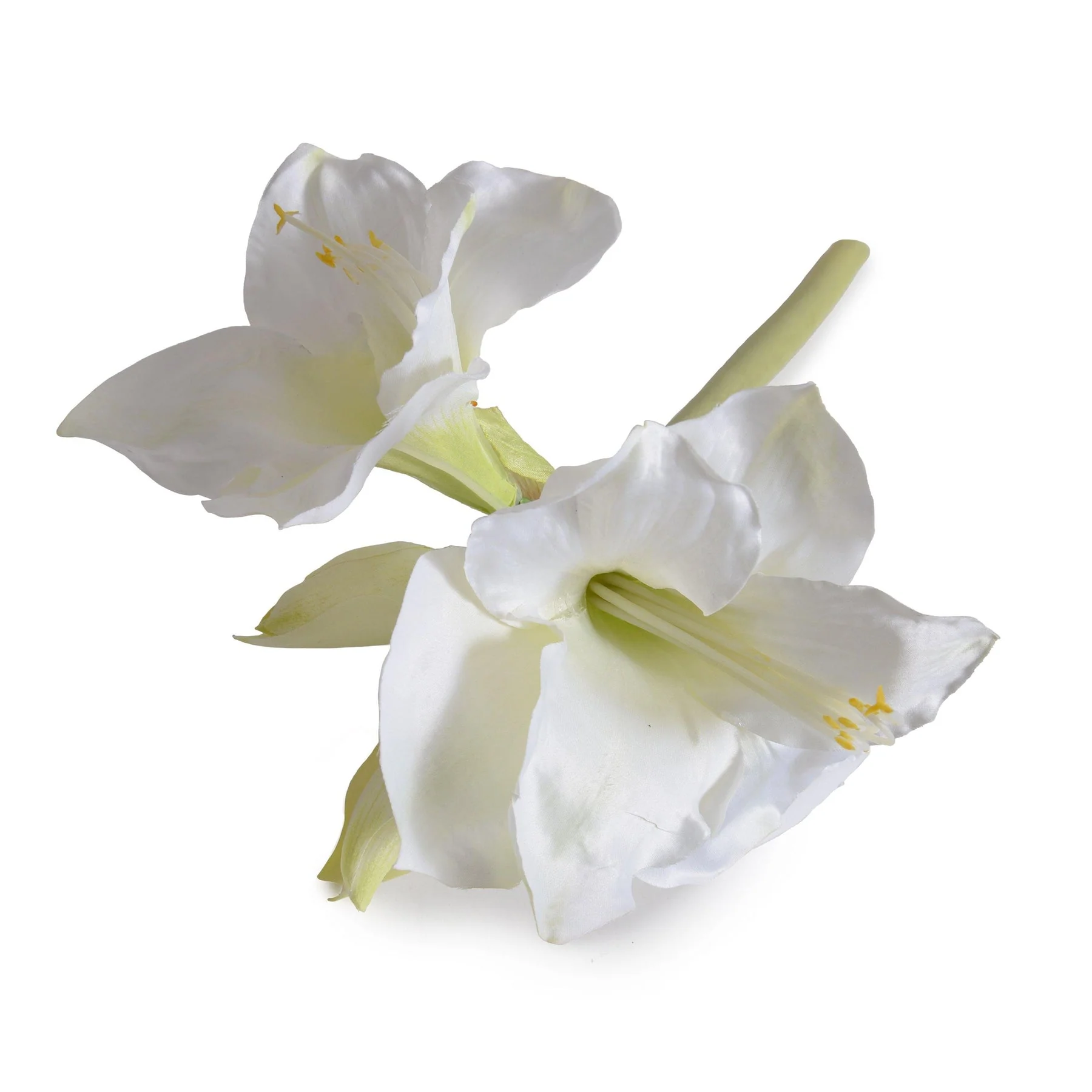 Amaryllis Stem, 20″ L – White