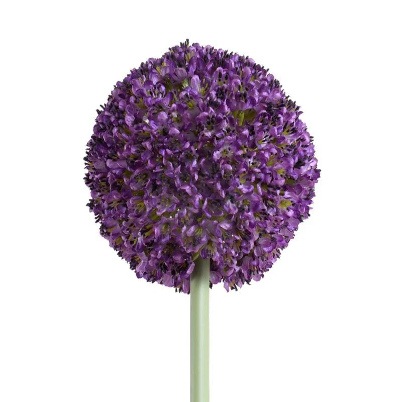 Allium Flower Stem Med 4"D Orchid (Purple) - Image 1