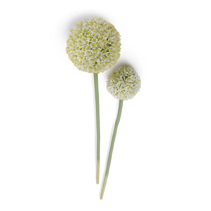 Allium Flower Stem Large 5.5″D White