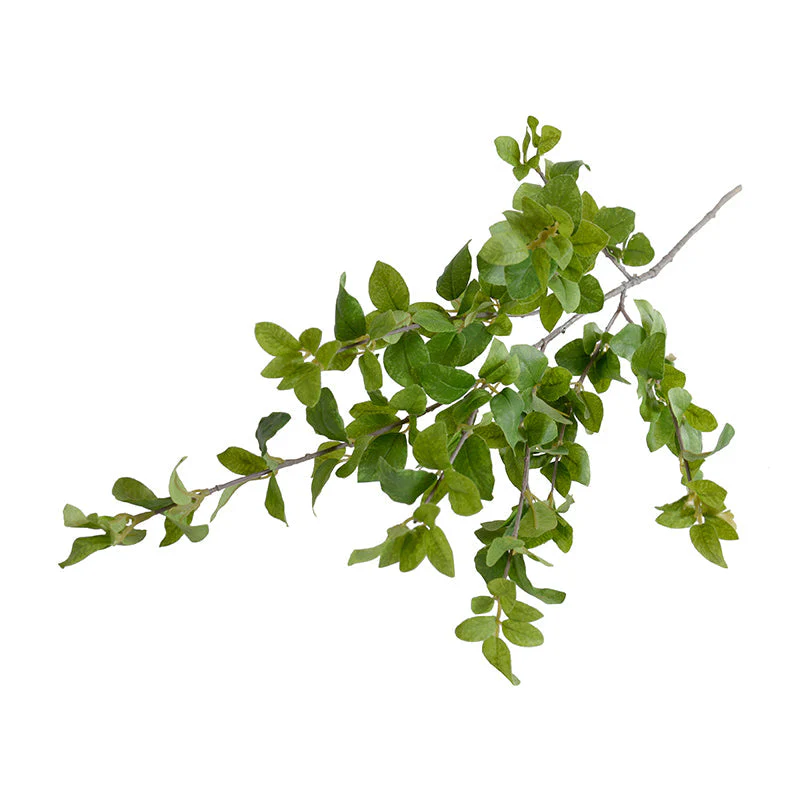 Privet Foliage Spray, 36"L - Green - Image 1