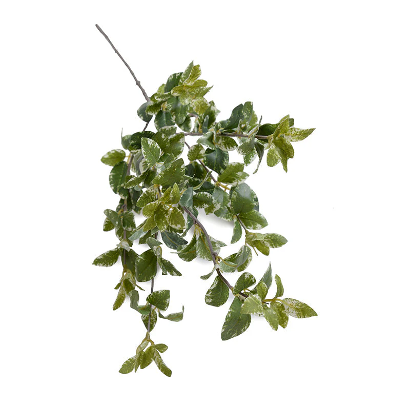 Privet Foliage Spray, 36"L - Variegated - Image 1