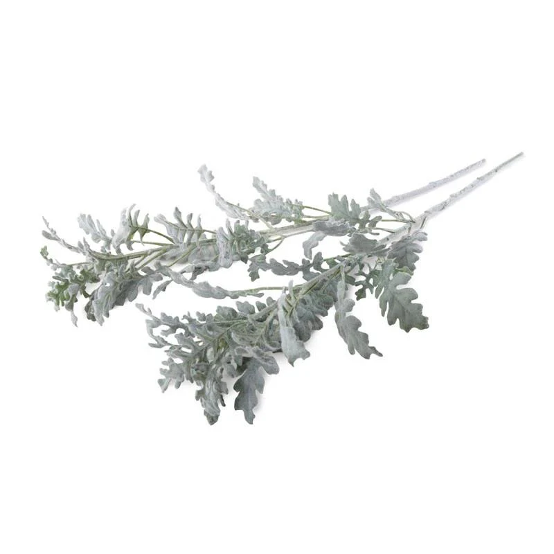 Dusty Miller Spray, 30″ L